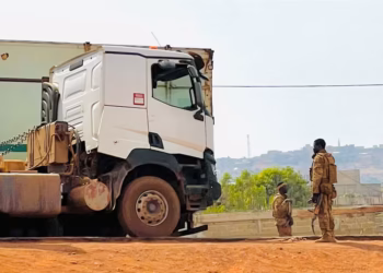 malian soldiers