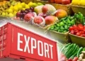 Tanzania earns USD6.6 billion from agricultural exports