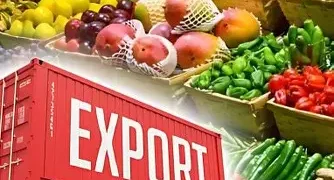Tanzania earns USD6.6 billion from agricultural exports