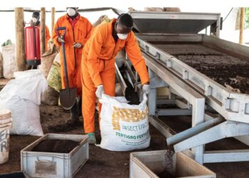 fertilizer