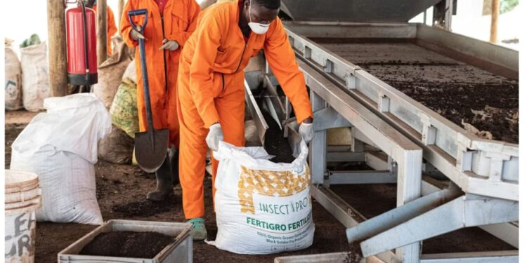 fertilizer