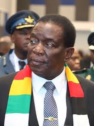 Zimbabwe gold