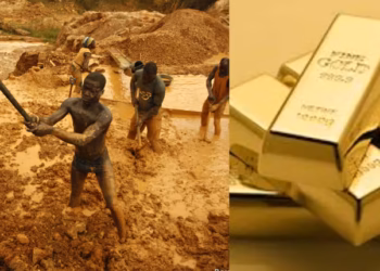 Nearly 200 illegal gold companies uncovered in Cameroon amid anti-foreign mining push