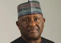 South Africa denied me entry over expired visa, allowed Europeans — BUA boss