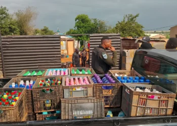 Another new mafia emerging in South Africa