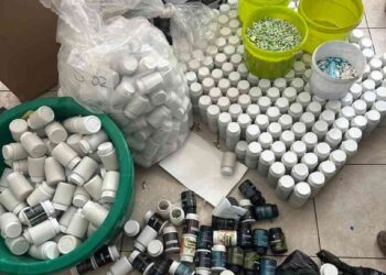 Zimbabwe police bust fake medicine factory