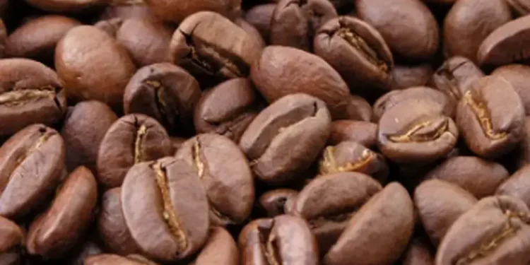 nuts