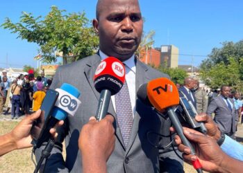 Mozambique considers reclaiming 134,000 hectares of idle land for investment projects