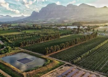 The 283-year-old South African business run by the same family since 1743