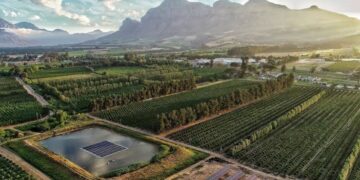 The 283-year-old South African business run by the same family since 1743