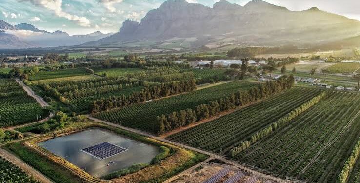 The 283-year-old South African business run by the same family since 1743