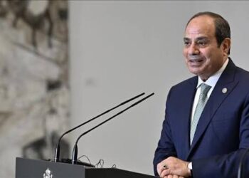 Egypt moves to privatise four more state-owned companies
