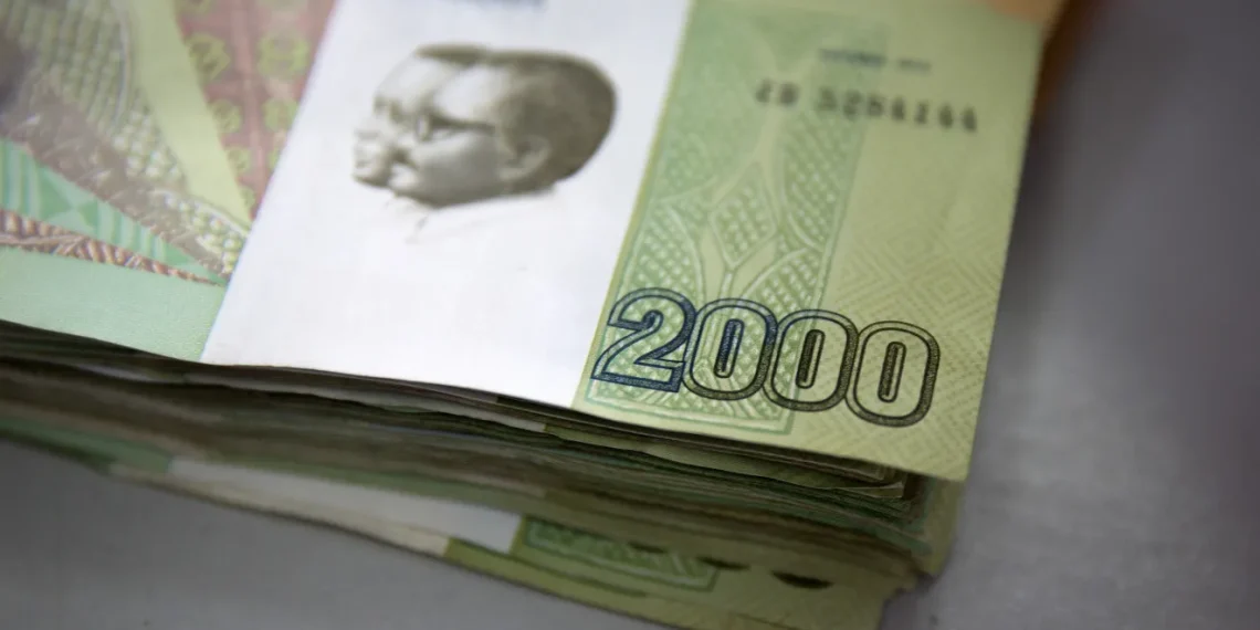 Southern Africa payments system eyes more currencies to unlock regional trade