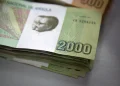 Southern Africa payments system eyes more currencies to unlock regional trade
