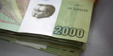 Southern Africa payments system eyes more currencies to unlock regional trade