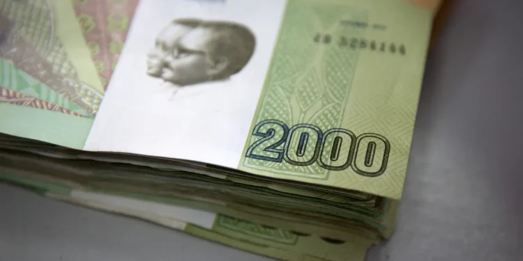 Southern Africa payments system eyes more currencies to unlock regional trade