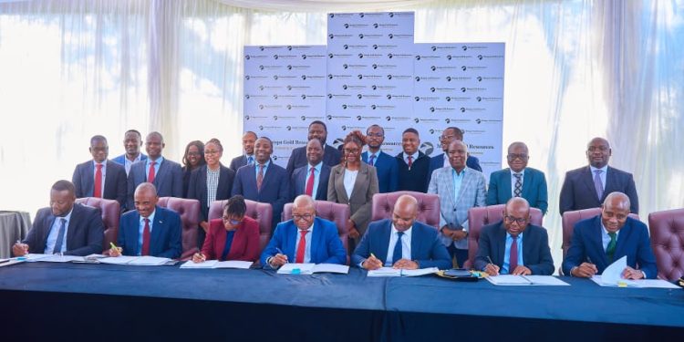 Mutapa Gold secures US$125m facility as Zimbabwe pushes to expand gold output
