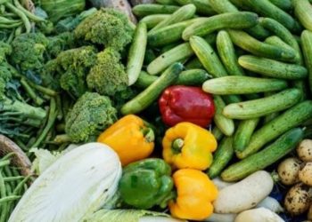 Mozambique moves to cut SA food imports