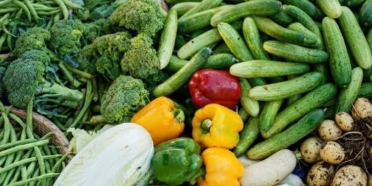 Mozambique moves to cut SA food imports