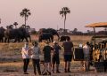 SADC visitors drive South Africa tourism growth as Nigerian, Ghanaian arrivals decline