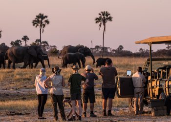 SADC visitors drive South Africa tourism growth as Nigerian, Ghanaian arrivals decline