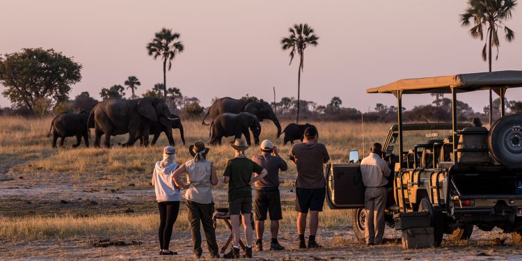 SADC visitors drive South Africa tourism growth as Nigerian, Ghanaian arrivals decline