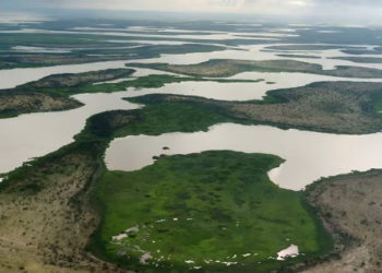 Lake Chad’s fight for survival puts Africa’s $50 billion water gamble under scrutiny