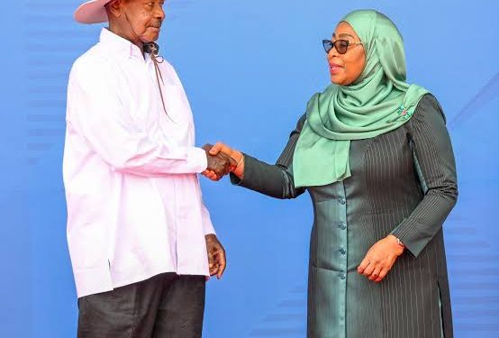 Tanzania, Uganda sign energy pact