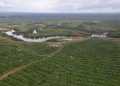 How Rwandan investors plan to use farmland in Gabon