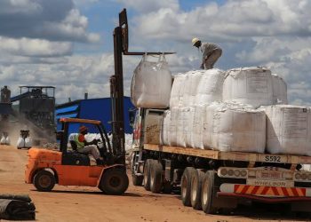 Beira port runs out of lithium storage space as Zimbabwe shipments surge
