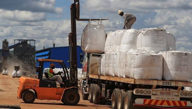Beira port runs out of lithium storage space as Zimbabwe shipments surge