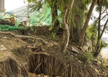 In Tanzania, the sea is moving inland – and taking livelihoods with it
