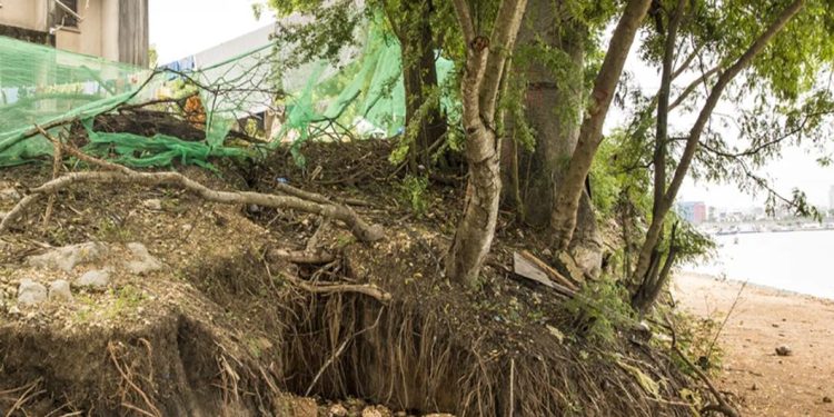 In Tanzania, the sea is moving inland – and taking livelihoods with it