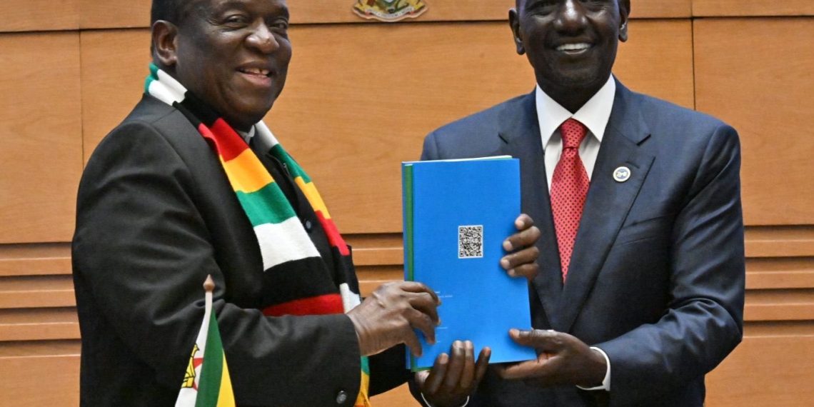 Zimbabwe takes over COMESA chairmanship